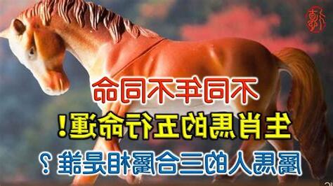 屬馬 五行